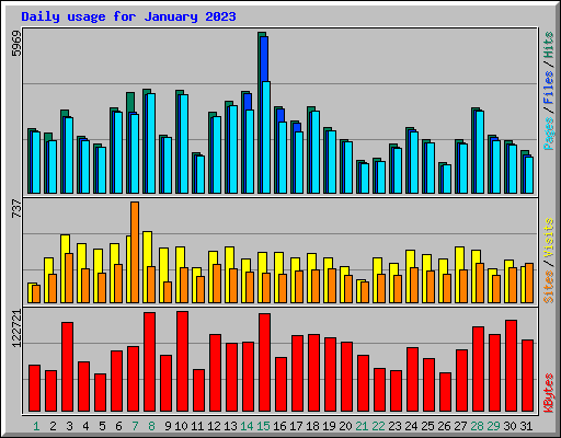 Daily usage for January 2023