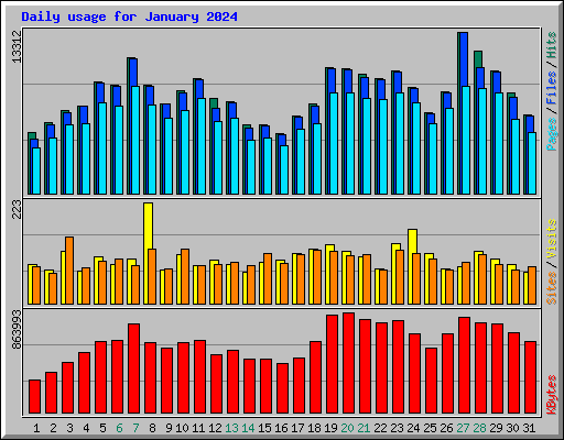 Daily usage for January 2024