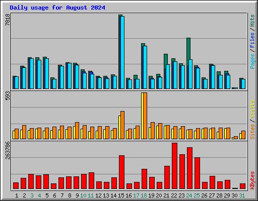 Daily usage for August 2024