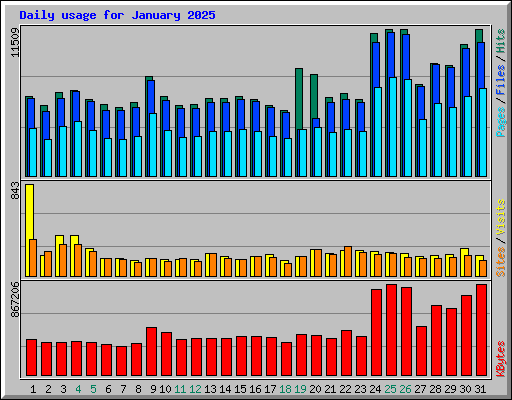 Daily usage for January 2025
