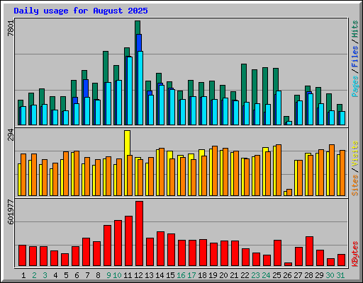 Daily usage for August 2025
