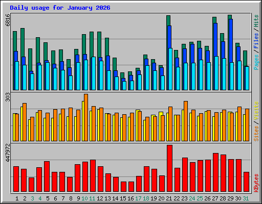 Daily usage for January 2026