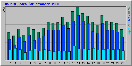 Hourly usage for November 2009