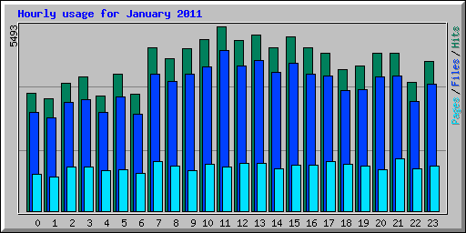 Hourly usage for January 2011