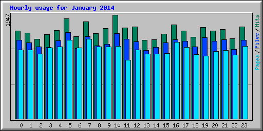 Hourly usage for January 2014