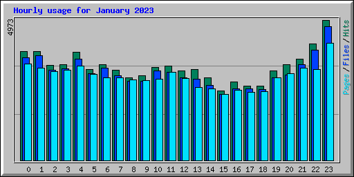 Hourly usage for January 2023