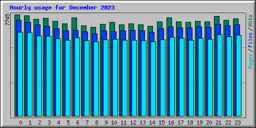 Hourly usage for December 2023