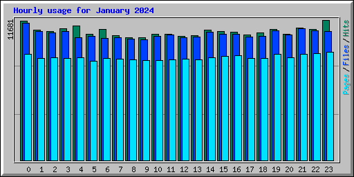 Hourly usage for January 2024