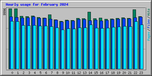 Hourly usage for February 2024