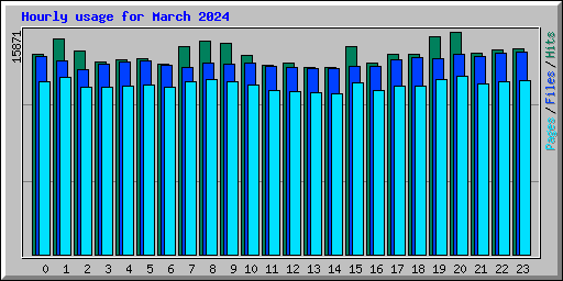 Hourly usage for March 2024