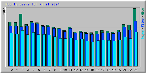 Hourly usage for April 2024