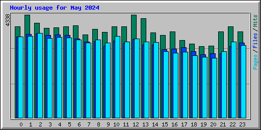 Hourly usage for May 2024