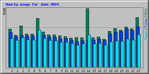 Hourly usage for June 2024