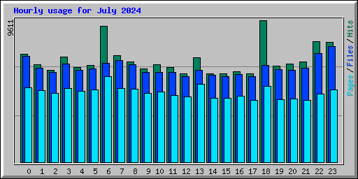 Hourly usage for July 2024