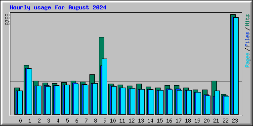 Hourly usage for August 2024