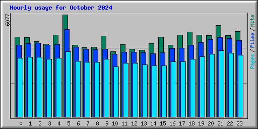 Hourly usage for October 2024