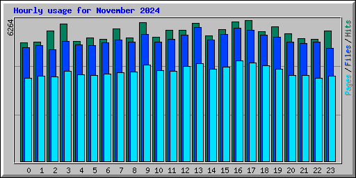 Hourly usage for November 2024