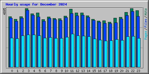 Hourly usage for December 2024