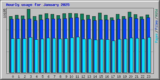 Hourly usage for January 2025