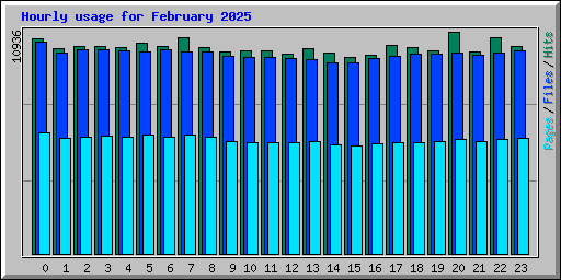 Hourly usage for February 2025