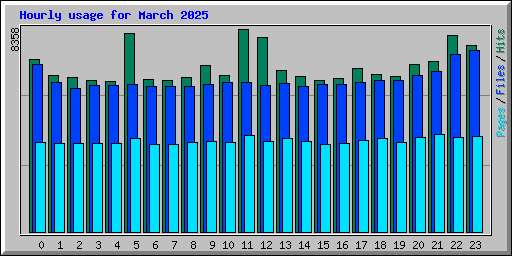 Hourly usage for March 2025