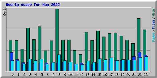 Hourly usage for May 2025