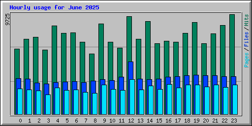 Hourly usage for June 2025