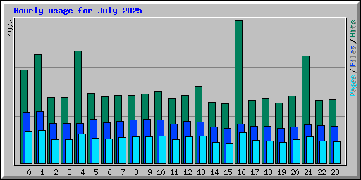 Hourly usage for July 2025