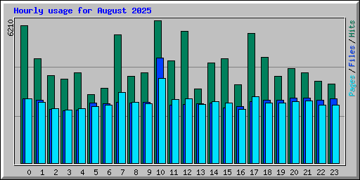 Hourly usage for August 2025