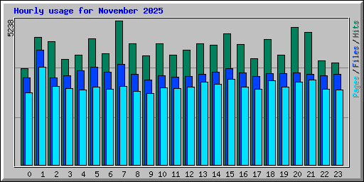 Hourly usage for November 2025