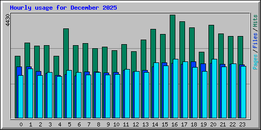 Hourly usage for December 2025