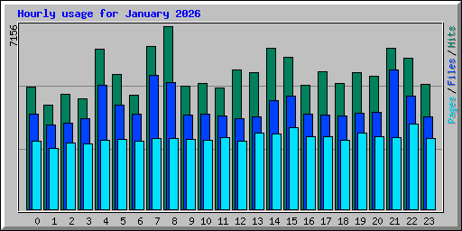Hourly usage for January 2026