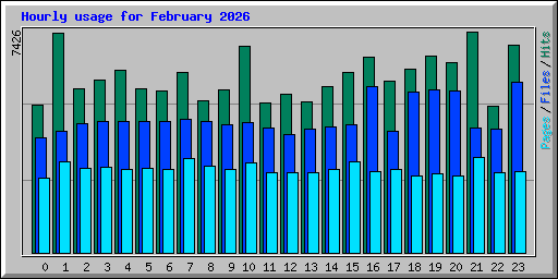Hourly usage for February 2026